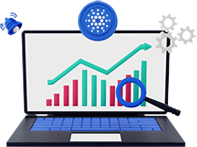 Customised Seo Plans